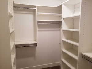 View of walk in closet