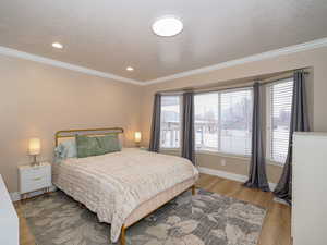 Bedroom featuring crown molding and light hardwood / wood-style floors