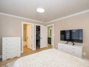 Bedroom with ensuite bathroom, ornamental molding, a spacious closet, light wood-type flooring, and a closet