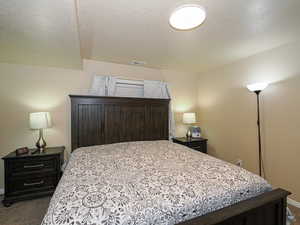 Carpeted bedroom featuring a textured ceiling