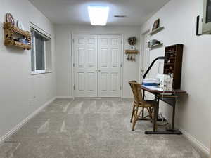 Office with carpet floors and a textured ceiling