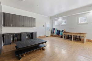 Living room featuring light hardwood / wood-style flooring