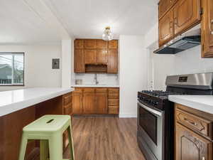 Kitchen featuring dark wood-type flooring, sink, gas stove, ornamental molding, and backsplash