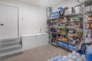 Laundry area with carpet floors