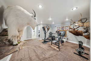 basement flex area currently used for exercise/den and display