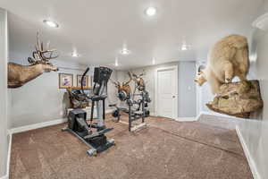 basement flex area currently used for exercise/den and display