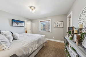 Owners Bedroom featuring carpet floors