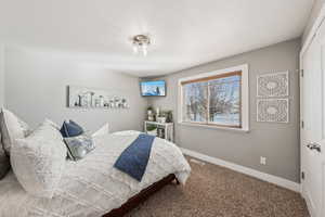 Bedroom featuring carpet