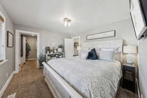 Owners Bedroom featuring a walk in closet and dark carpet