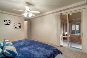 Carpeted bedroom with a tray ceiling and ceiling fan