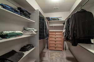 Walk in closet with light carpet