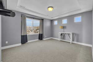 Unfurnished room with a raised ceiling, a textured ceiling, and carpet