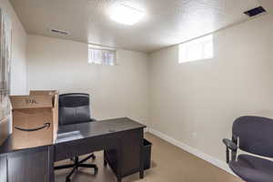 Office with a textured ceiling, light carpet, and a healthy amount of sunlight