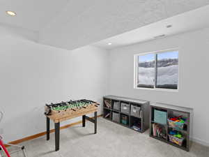 Recreation room featuring carpet floors and a textured ceiling