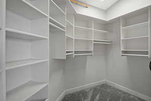 Spacious closet featuring carpet