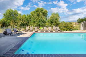 View of swimming pool featuring a storage shed and a patio