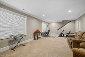 Carpeted living room with crown molding