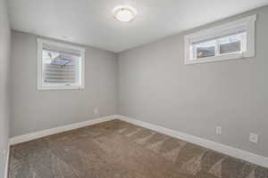 Empty room featuring carpet floors