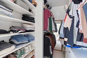 Spacious closet featuring light carpet