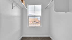 Spacious closet with carpet flooring