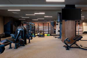 Workout area featuring carpet