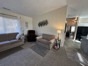 Living room featuring carpet floors and a textured ceiling