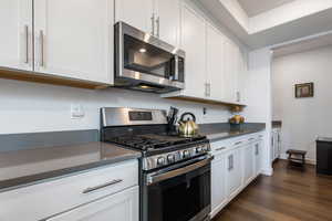 Kitchen with white cabinetry, stainless steel appliances, and dark hardwood / wood-style flooring