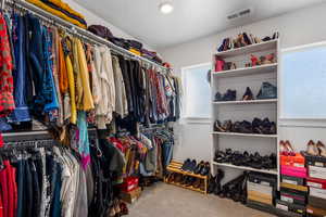 Spacious closet featuring carpet floors