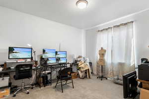 Carpeted home office with a textured ceiling