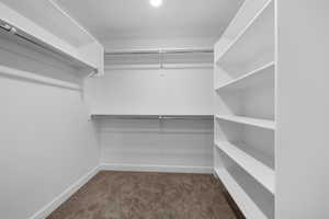 Spacious closet with dark colored carpet