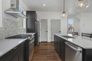 Kitchen featuring sink, dark hardwood / wood-style flooring, hanging light fixtures, exhaust hood, and stainless steel appliances