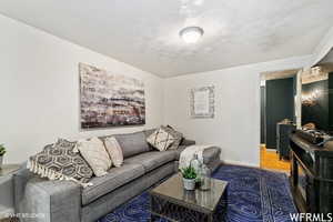 Living room with dark wood-type flooring