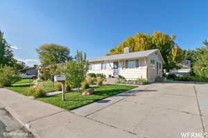 Ranch-style home featuring a front lawn. Old photo showing mature trees in summer.