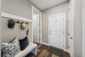 Mudroom featuring dark wood-type flooring