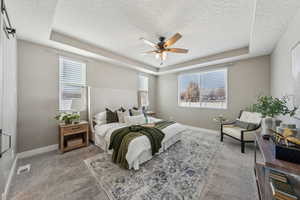 Bedroom with a raised ceiling, light colored carpet, and a textured ceiling