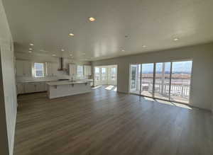 Unfurnished living room featuring a healthy amount of sunlight, dark hardwood / wood-style flooring, sink, and a textured ceiling