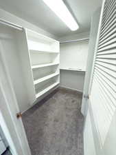 Spacious closet featuring dark carpet