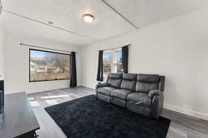 Living room featuring hardwood / wood-style floors and a textured ceiling