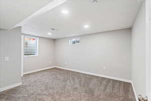 Basement with carpet floors