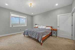 Bedroom with carpet floors