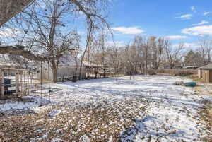 View of the backyard