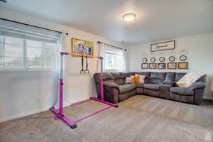 Carpeted living room featuring a textured ceiling