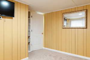 Basement featuring wooden walls and carpet