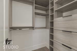 Walk in closet featuring hardwood / wood-style flooring