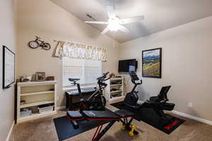 Workout room featuring vaulted ceiling, carpet, and ceiling fan