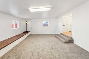 Basement featuring light carpet