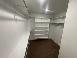 Spacious closet featuring dark colored carpet