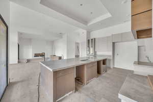 Kitchen with modern cabinets, a large island, a raised ceiling, gray cabinets, and open floor plan