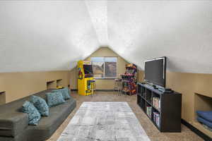 Bonus Recreation room