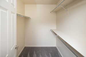 Walk in closet featuring dark colored carpet